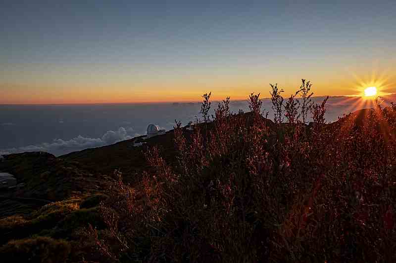 roque de los muchachos