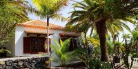 001-casas-las-palmeras-bungalow-3